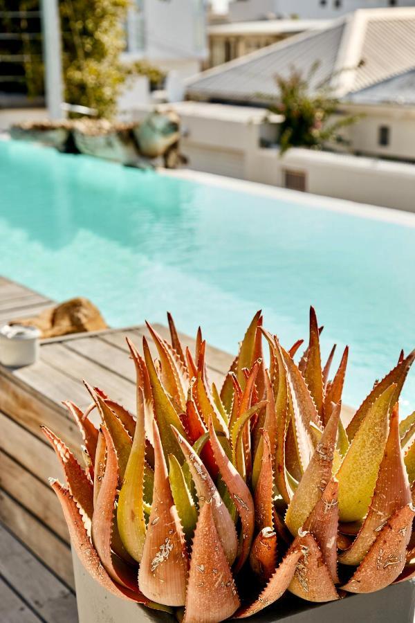 Dysart Boutique - Solar Power 5* Cape Town