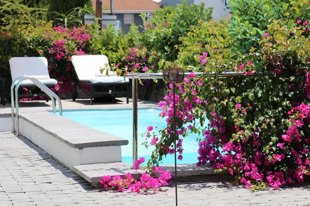 Dysart Boutique - Solar Power 5*